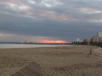 IMG_20191229_190913.jpg