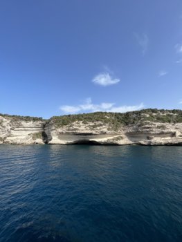 IMG_6480.jpeg