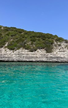 IMG_6552.jpeg