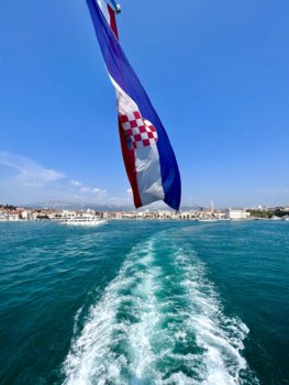 IMG_8239.jpeg