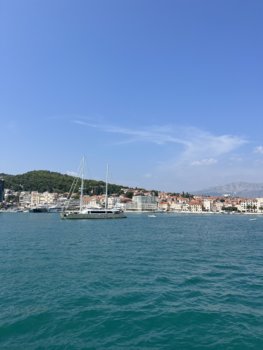 IMG_8240.jpeg