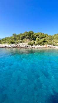 IMG_8314.jpeg
