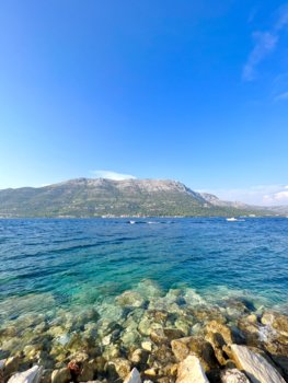 IMG_8695.jpeg