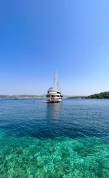 IMG_8818.jpeg