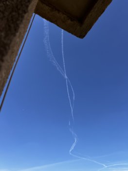 IMG_2117.jpeg