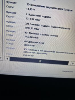 IMG_9924.jpeg