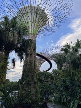IMG_7603.jpeg