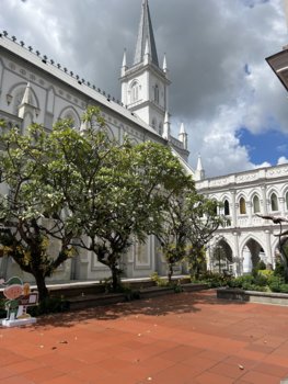 IMG_7727.jpeg