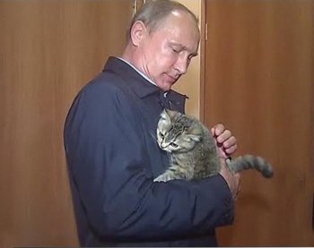 putin-cat-6.jpg