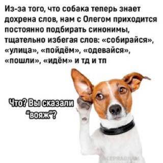 IMG_20240321_235055_631.jpg