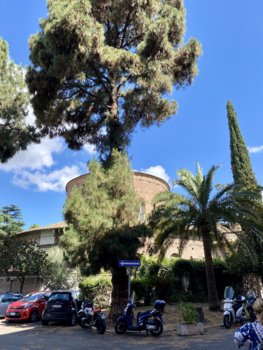 IMG_1616.jpeg