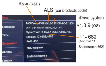 how-to-read-the-system-info.png