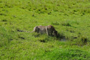 DSC00987@0.5x.jpg