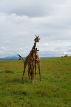 DSC00897@0.5x.jpg