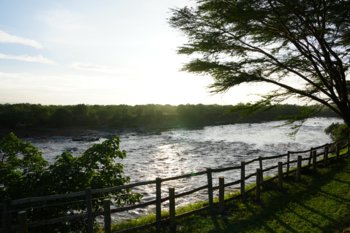 DSC00745@0.5x.jpg