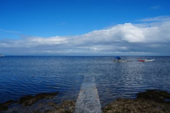 DSC02480 2@0.5x.jpg