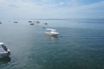 DSC02420@0.5x.jpg