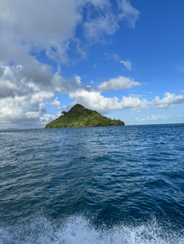 IMG_4156@0.5x.png