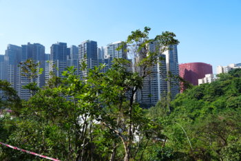 DSC00101.JPG