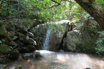DSC00191@0.5x.jpg
