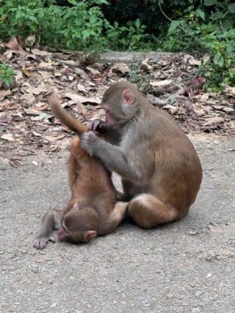 IMG_1857@0.5x.jpg