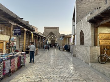 IMG_5230.jpeg