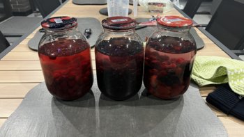 IMG_7606.jpeg