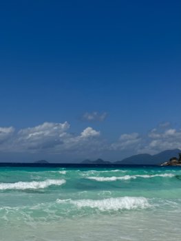 IMG_6684.jpeg