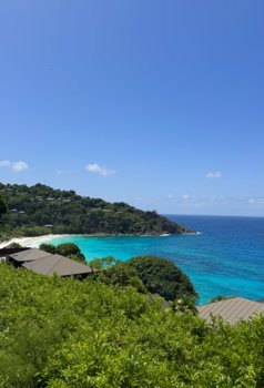 IMG_0681.jpeg