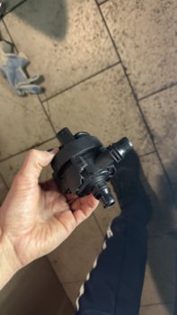 IMG_4032.jpeg