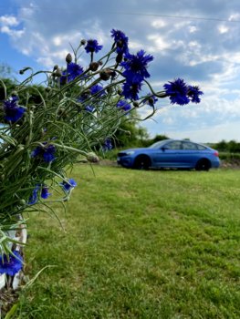 IMG_1071.jpeg