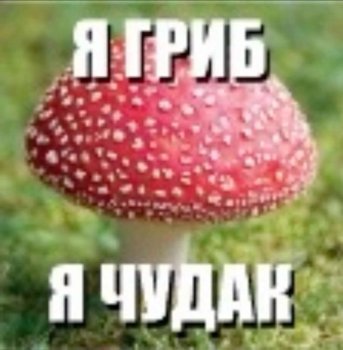 IMG_7187.jpeg