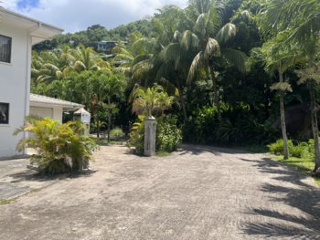 IMG_8343.jpeg