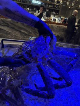 IMG_9041.jpeg