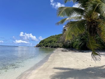 C07564B9-FFB6-4D07-A610-C29965D4BD7A.jpeg
