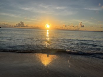 IMG_8587.jpeg
