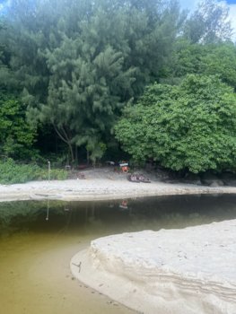 IMG_8445.jpeg