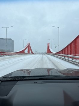 IMG_0601.jpeg
