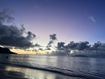IMG_8738.jpeg