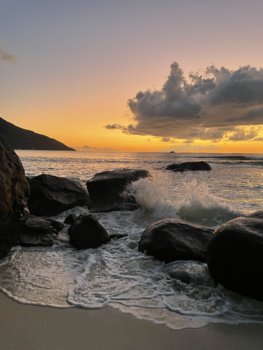CCC65178-9C29-466B-967A-BBCCB35CE34B.jpeg