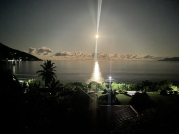 94267755-68D0-4EC5-B571-A64AC20F595F.jpeg
