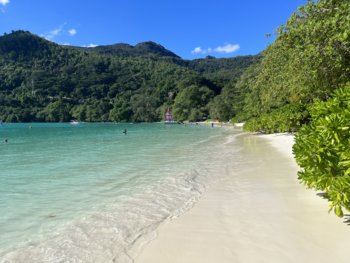 IMG_9086.jpeg