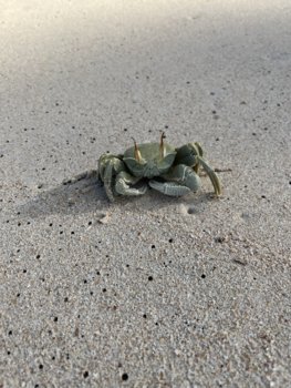 IMG_9197.jpeg