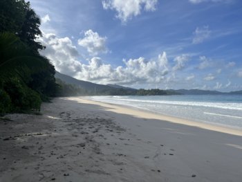 IMG_9190.jpeg