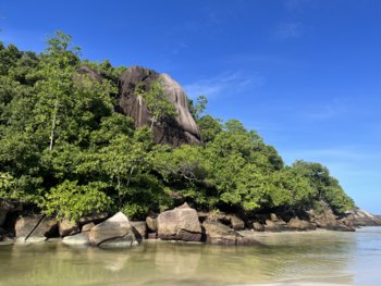 IMG_9201.jpeg