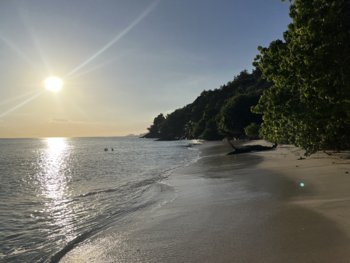 IMG_9273.jpeg