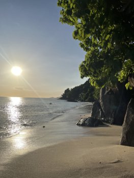 IMG_9267.jpeg