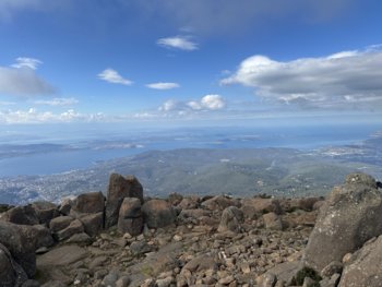 IMG_7137.jpeg