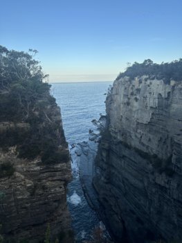 IMG_7118.jpeg