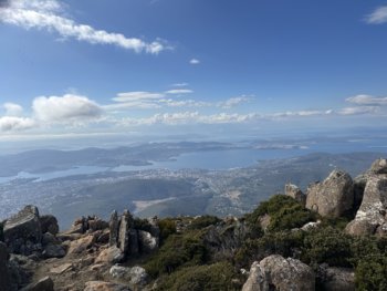 IMG_7124.jpeg